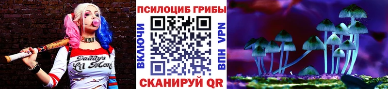 Псилоцибиновые грибы ЛСД  где продают   кракен рабочий сайт  Нестеровская 
